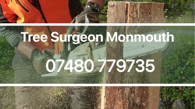 Tree Surgeon Monmouth